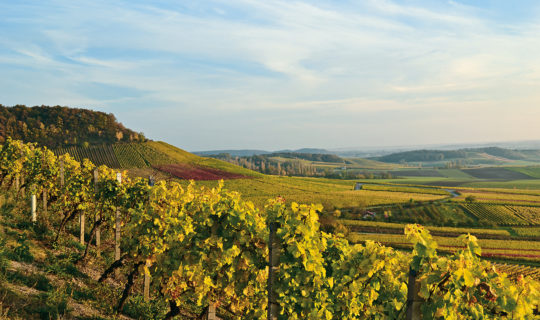 Herbstwanderungen in Deutschland - Genusstour in Franken